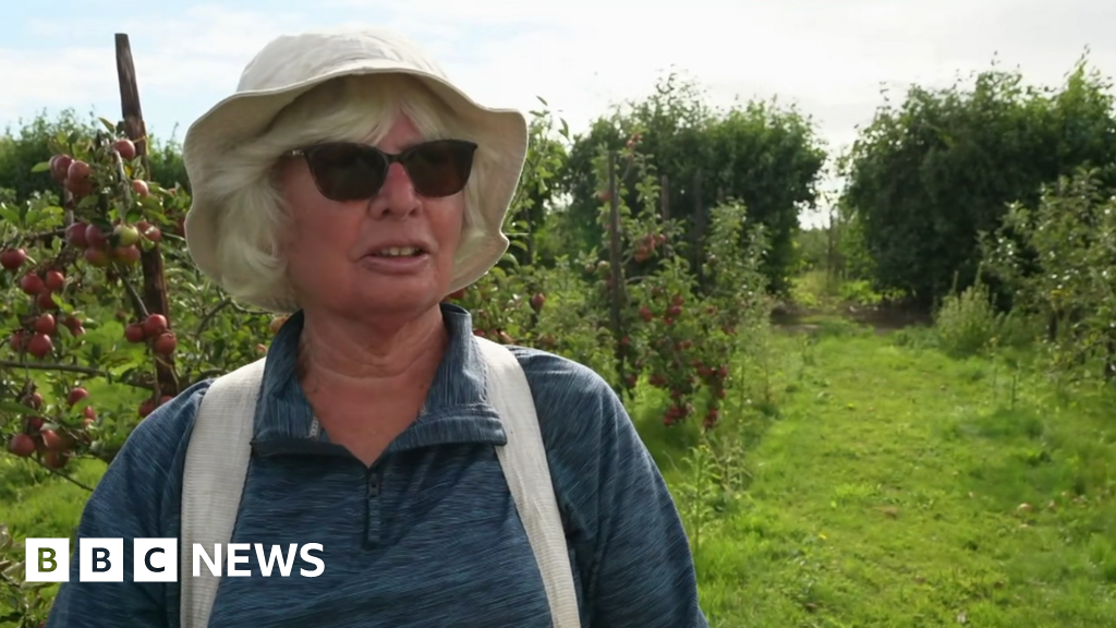 The Suffolk fruit farm with a team of apple-picking pensioners
